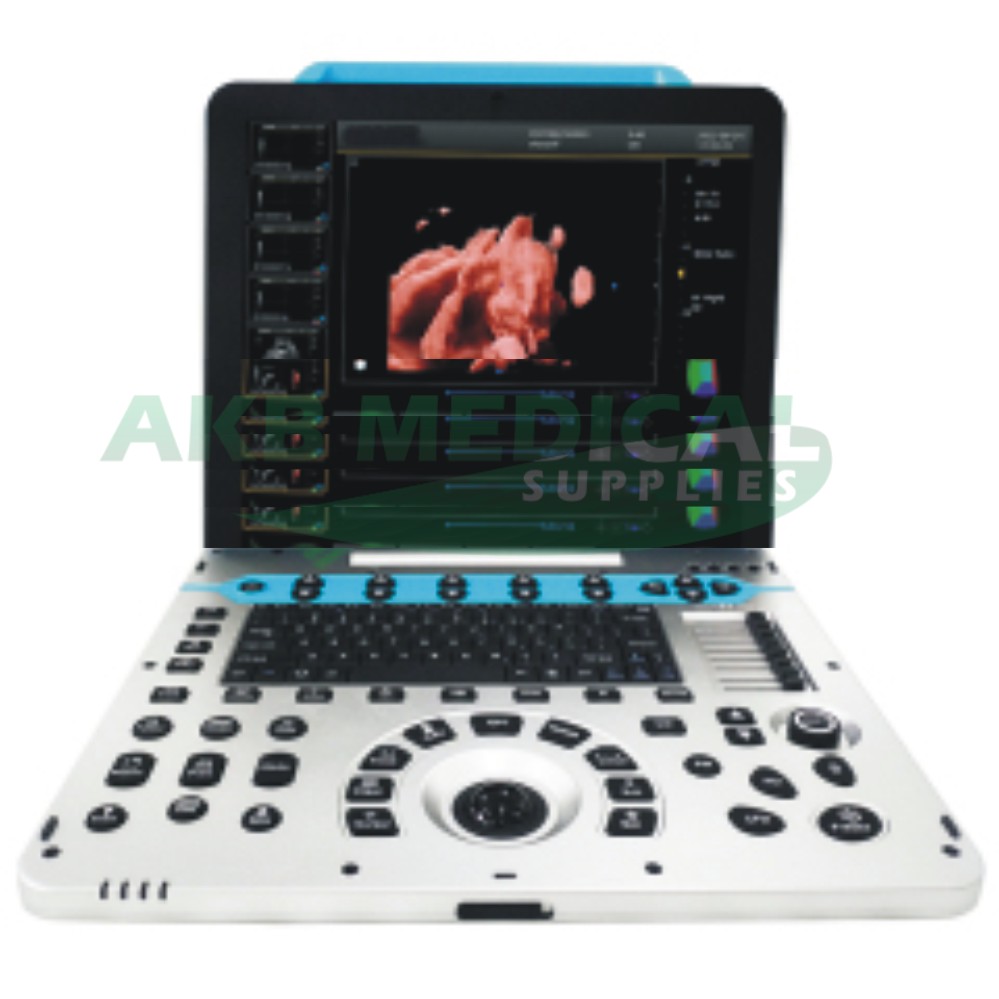 Portable Color Ultrasound System YSB-P30